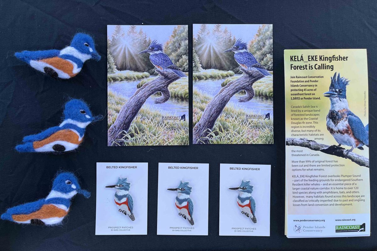 Kingfisher postcards, brochures, pins and felted art. 