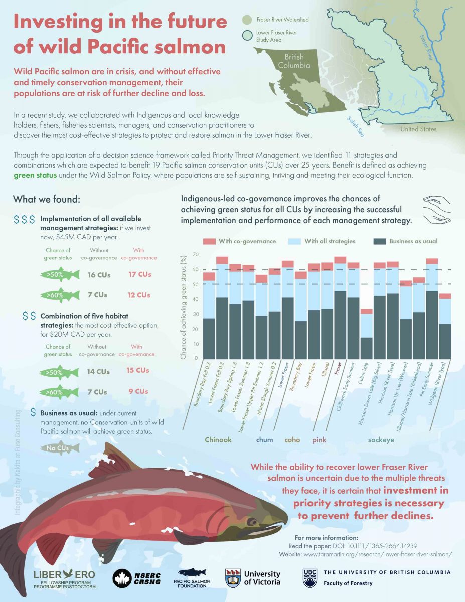 Info graphic showing the research with a chart and illustrations of BC map and salmon.