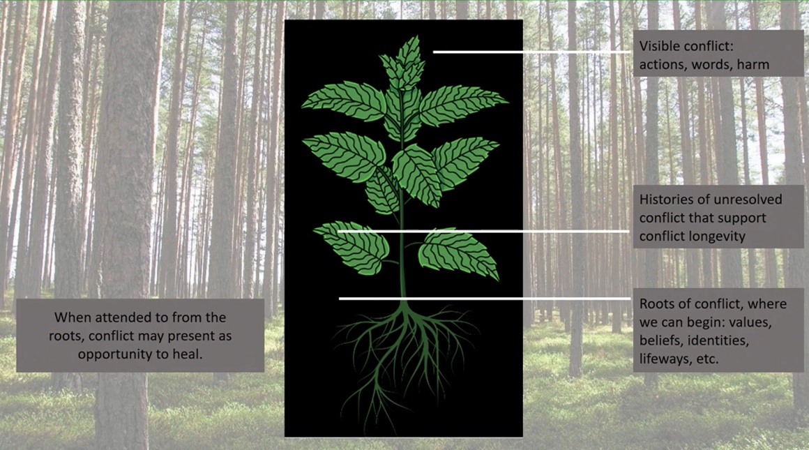 Stinging nettle graphic showing conservation conflict resolution.