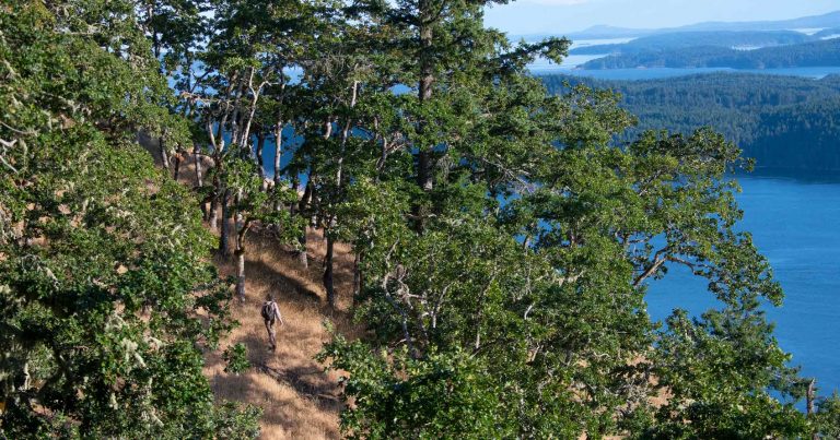 Man walking on a trail on a mountain.