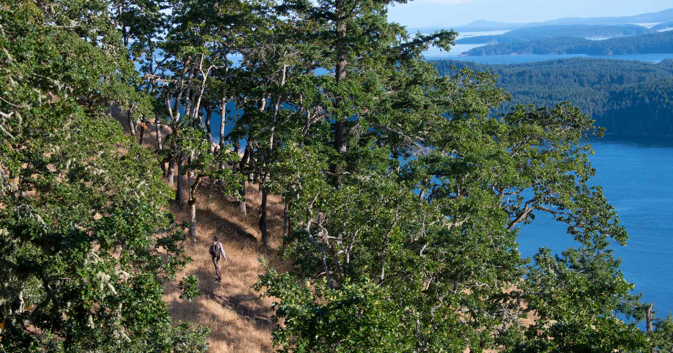 Man walking on a trail on a mountain.
