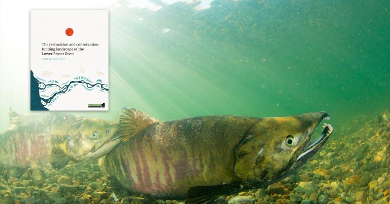 The Funding Landscape report cover floats beside salmon working their way along the floor of the Lower Fraser River.