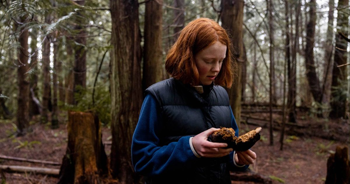 Meredith Boyd stands in a forest looking at fungi.