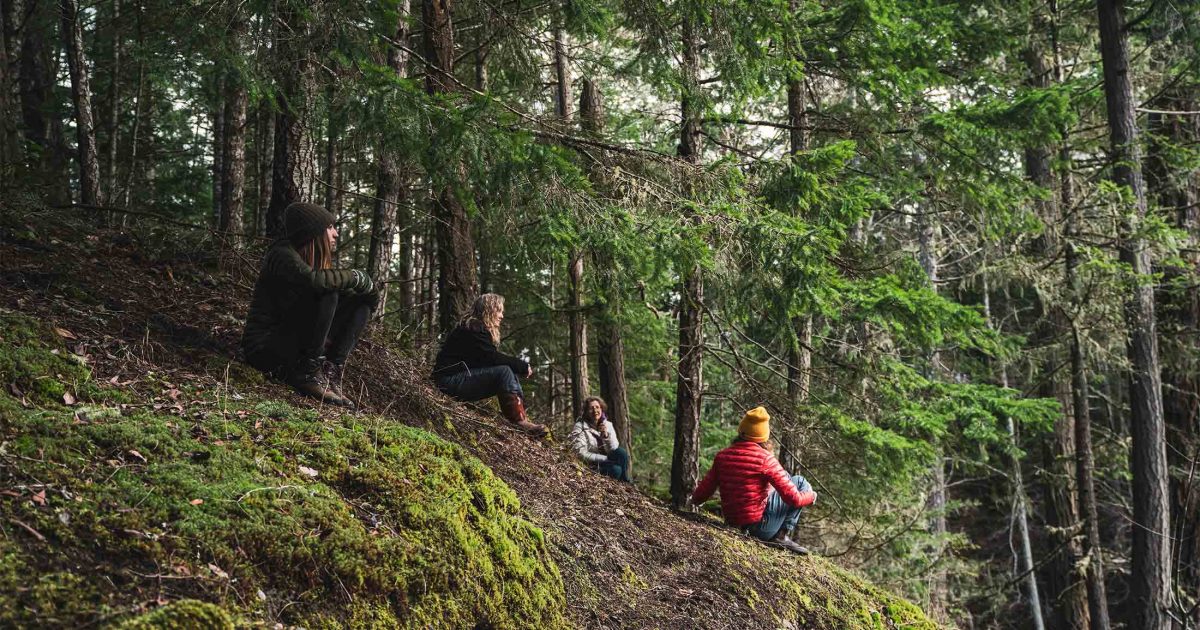 Four people sitting on a hill in a forest.