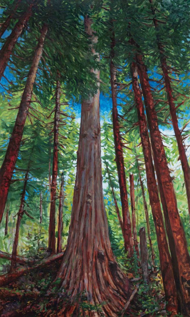 Painting of an old growth forest.