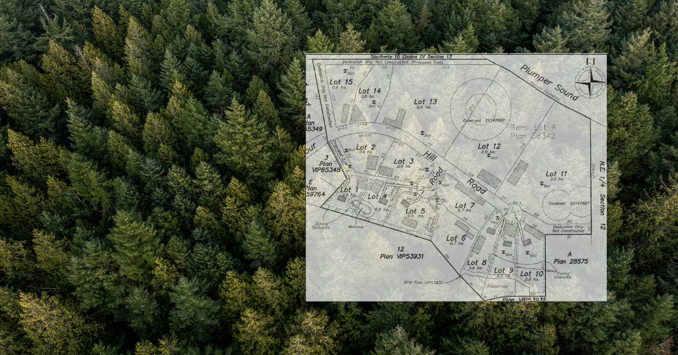 Birds eye view of a forest with development plans over.