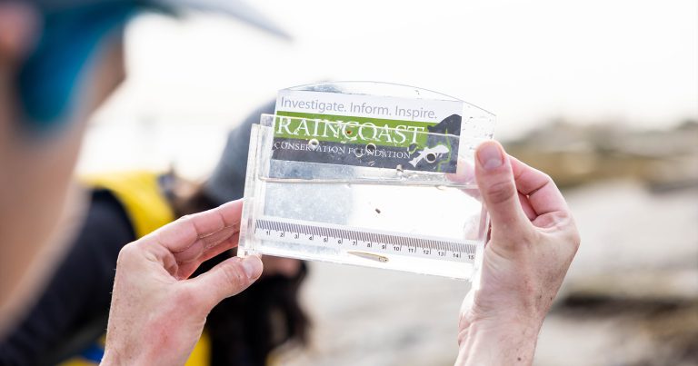 Dave Scott holding a fish view finder with a juvenile salmon in it.