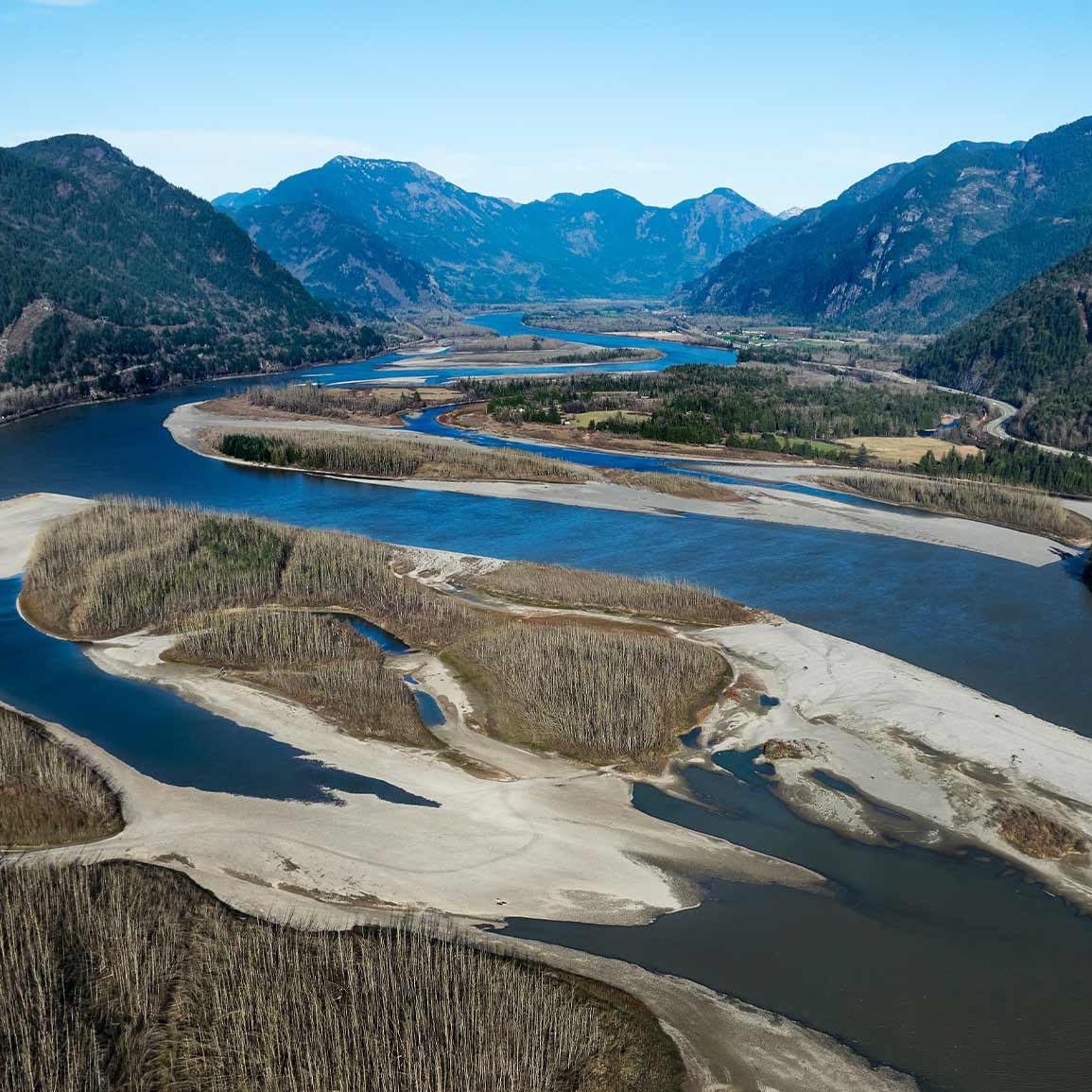 Drone photo of the meandering Fraser River.
