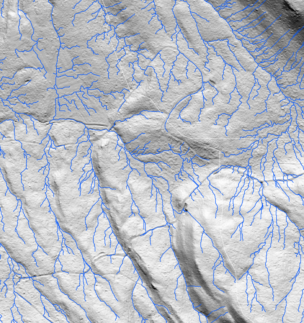 LiDAR derived drainage channels Bare Earth information map of Maxwell Creek.