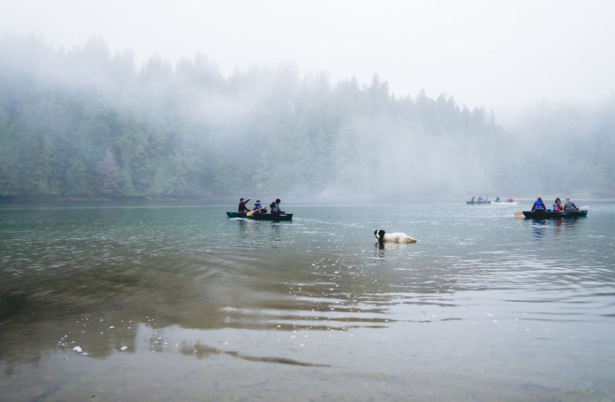 People in canoes in a river on a foggy day.
