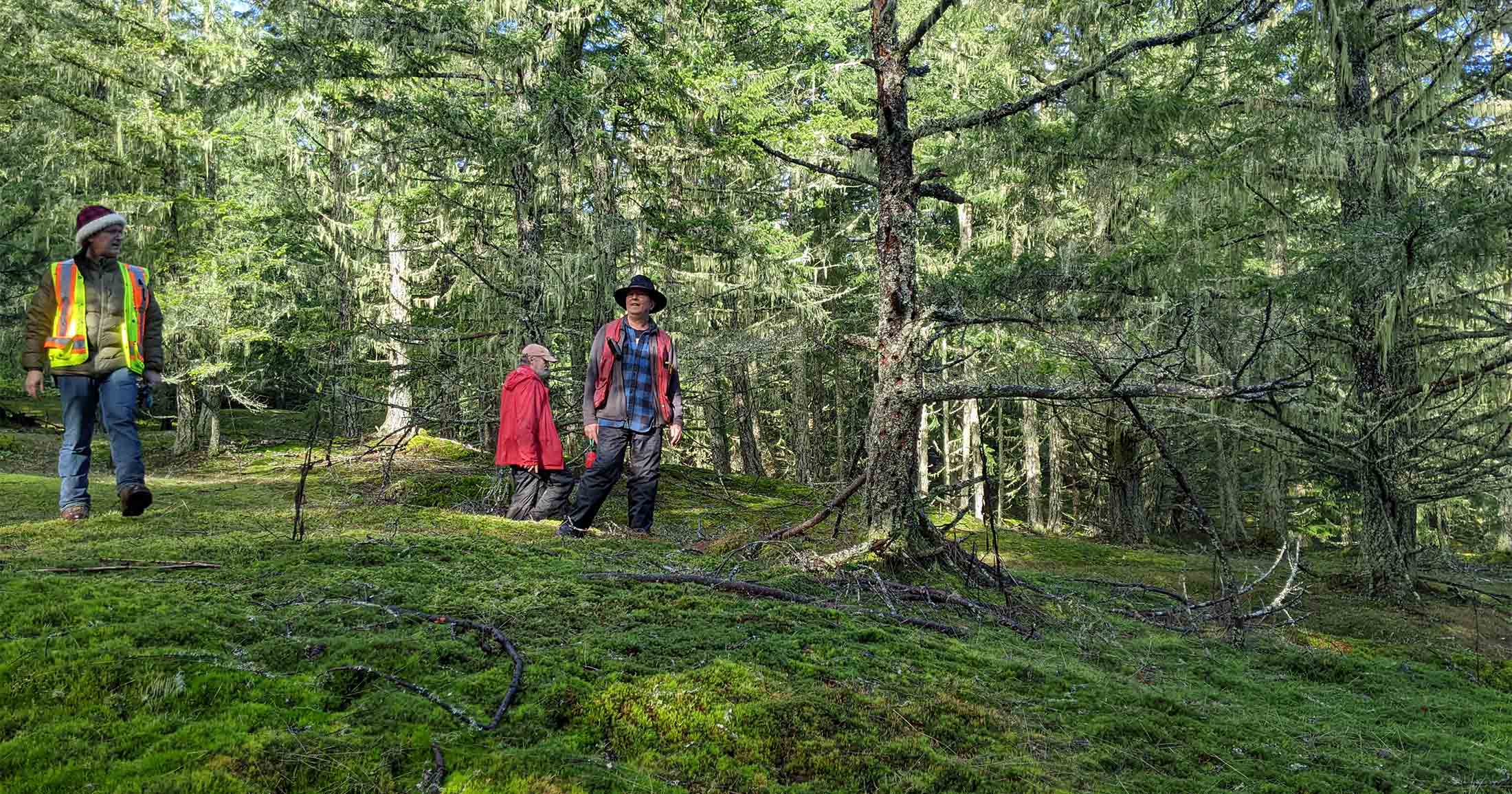 Three people standing in a restoration zone in the Maxwell Creek watershed.