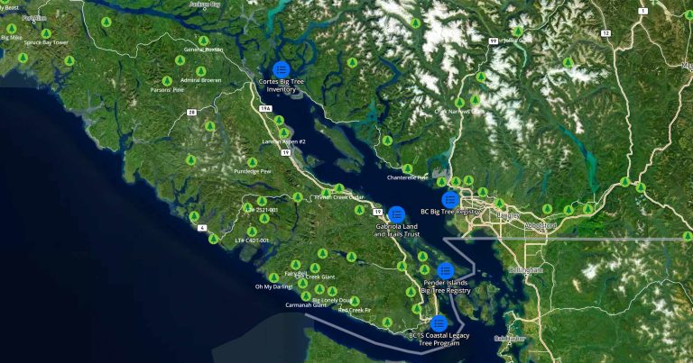 Introducing the British Columbia Big Tree Project map