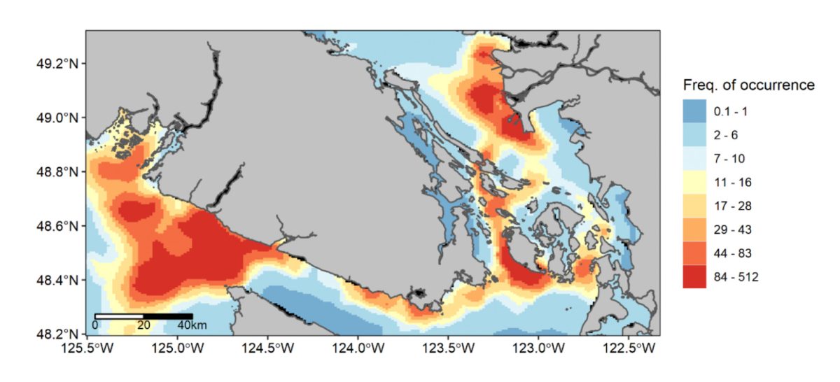 Map of predicted annual frequency of SRKW occurrence between May and October. 
