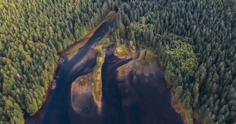 Over head photo of an estuary in Heiltsuk territory.