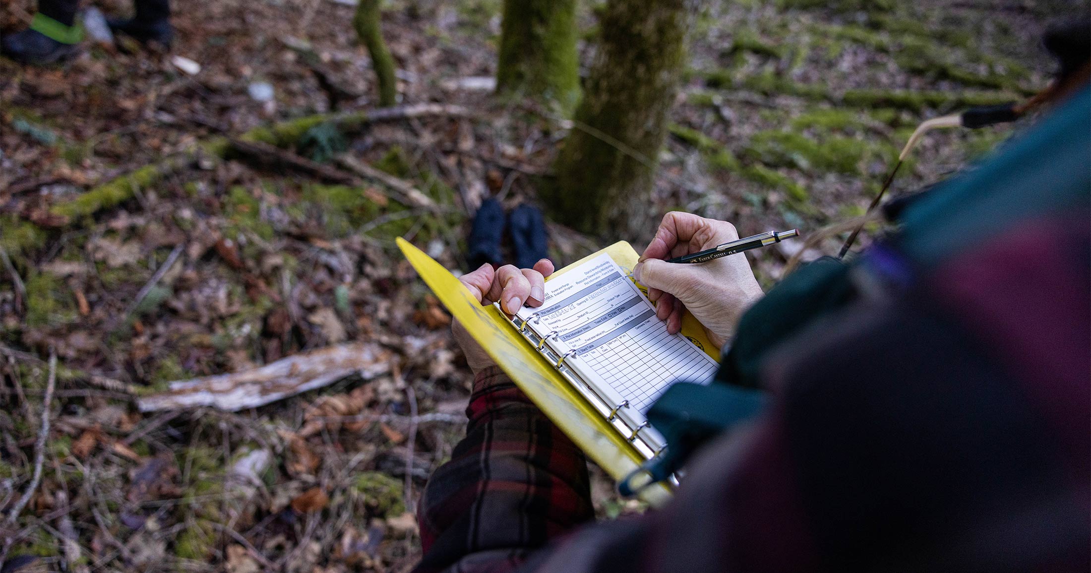 Someone writing in a field journal in a forest.
