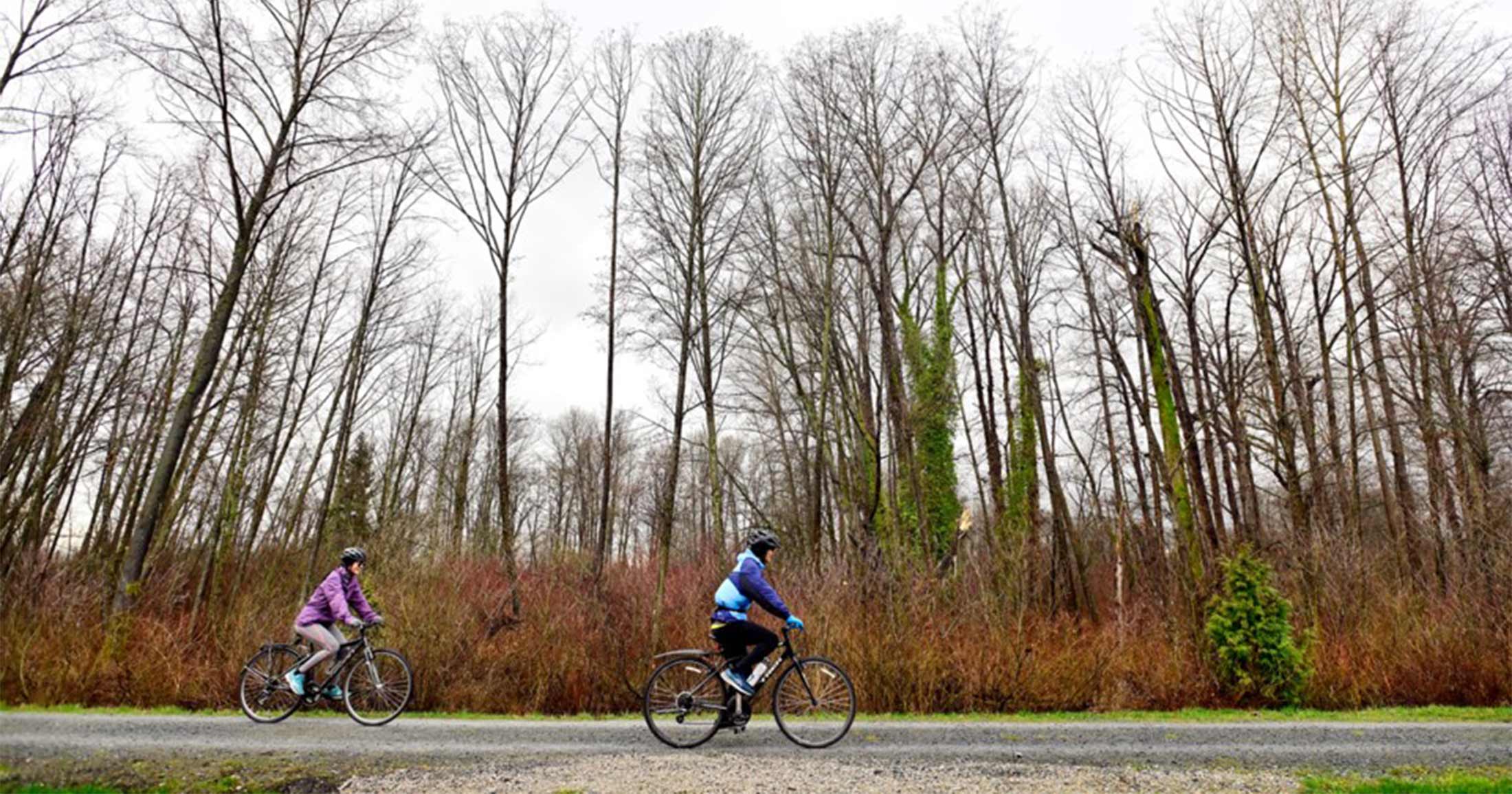 Two people biking in front of some trees.