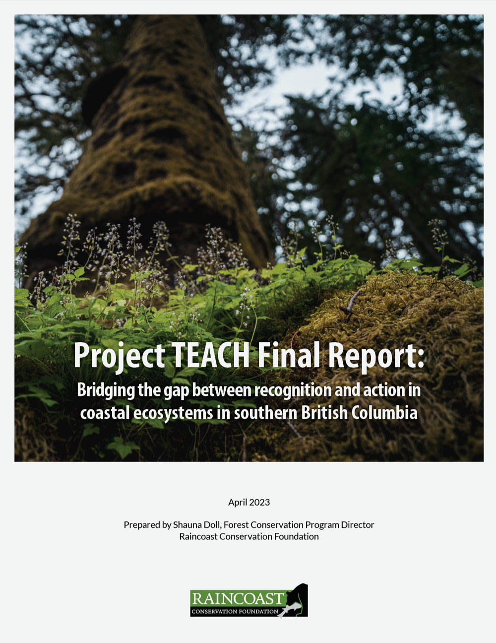 Cover image of the Project TEACH report cover with the full title and Raincoast logo - title reads, Project TEACH Final Report: Bridging the gap between recognition and action in coastal ecosystems in southern British Columbia.