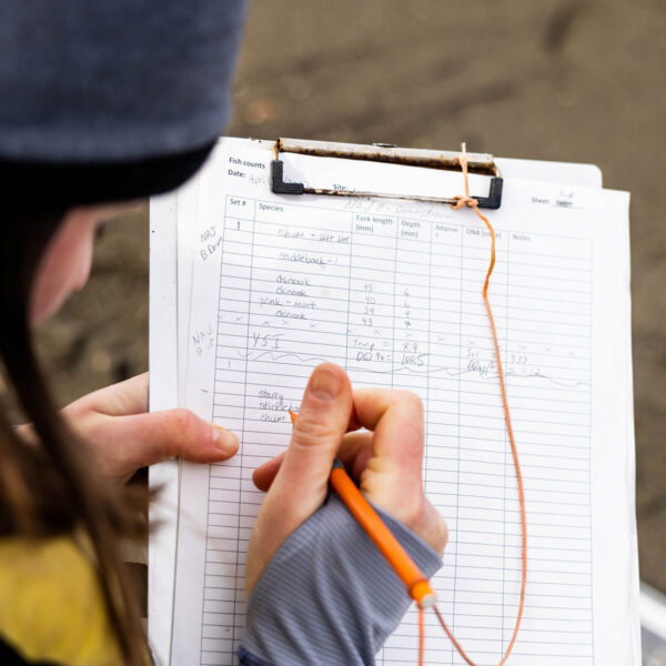 Woman taking notes on salmon numbers on a paper on a clipboard.