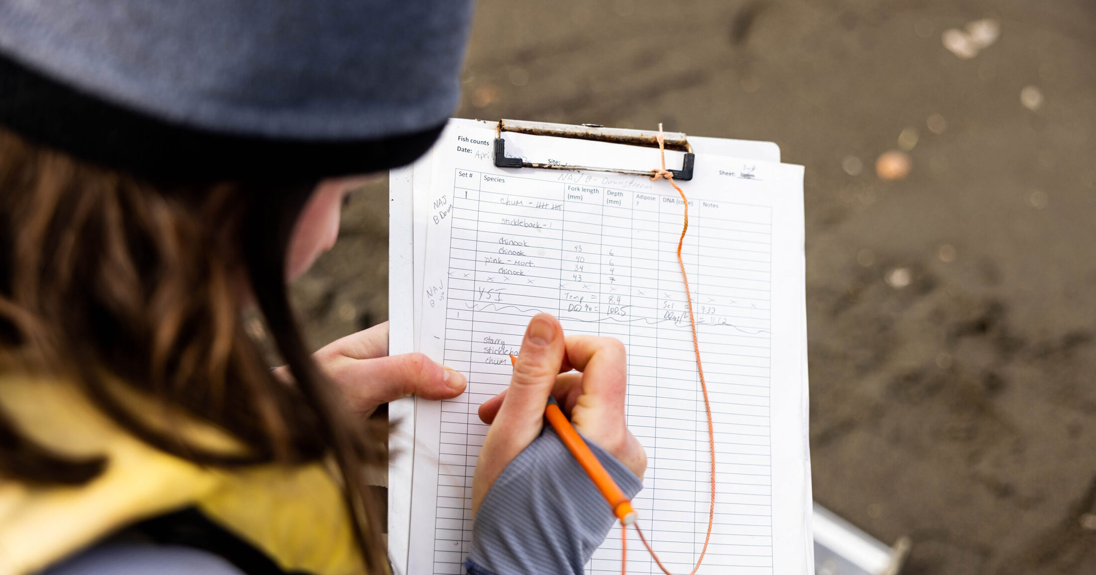 Woman taking notes on salmon numbers on a paper on a clipboard.