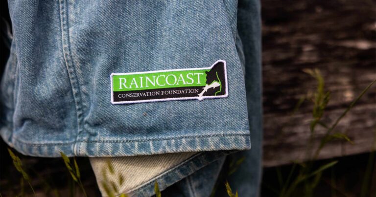 New patches support our work to stop trophy hunting