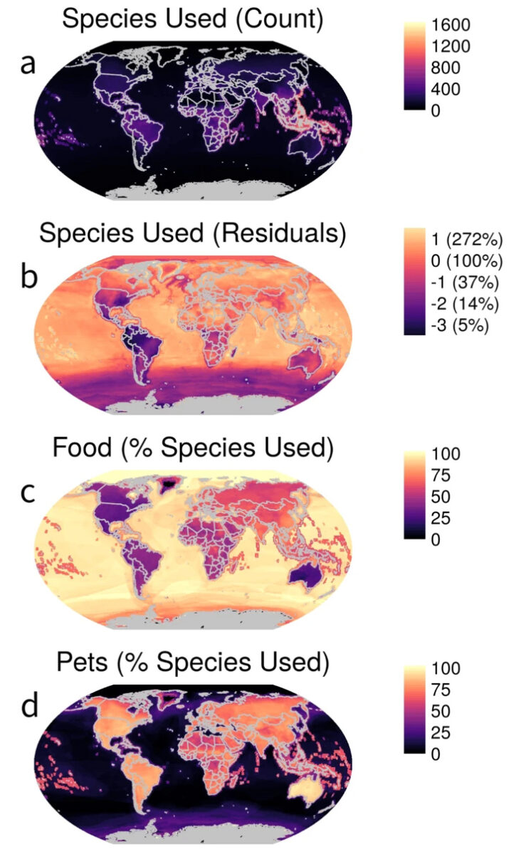 Spatial patterns of vertebrate use by human predators.