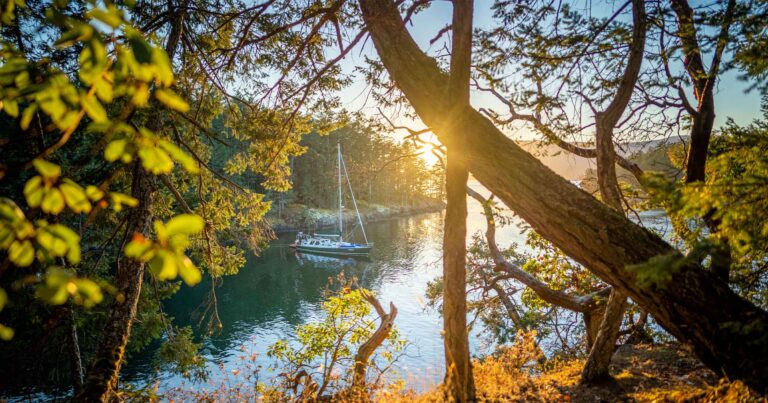 Sailing vessel, Achiever, seen through the trees at sunset.