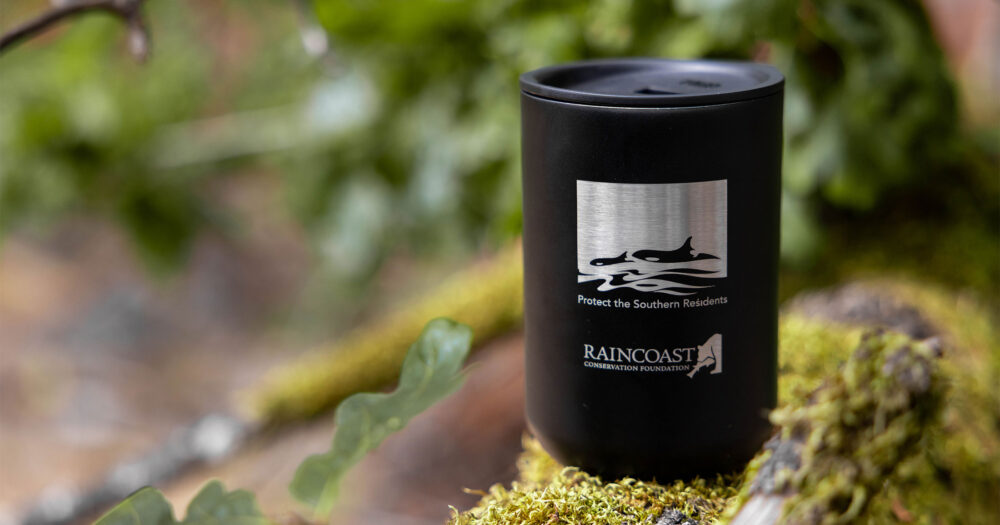 Black coffee tumbler that has art with Southern Resident killer whales and says "Protect Southern Residents" with the Raincoast logo.