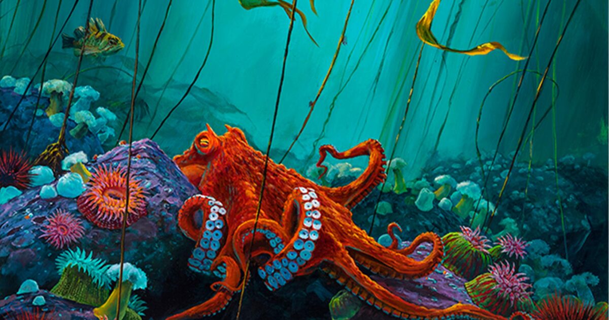 Painting of a pacific octopus on the sea floor surrounded by kelp.
