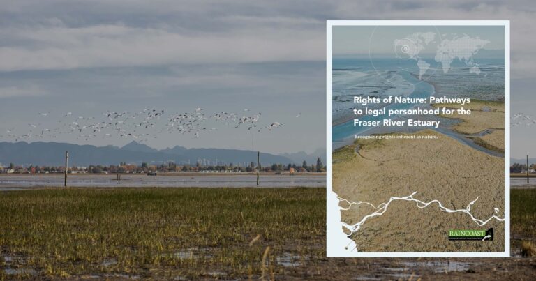 Rights of Nature: Pathways to legal personhood for the Fraser River Estuary