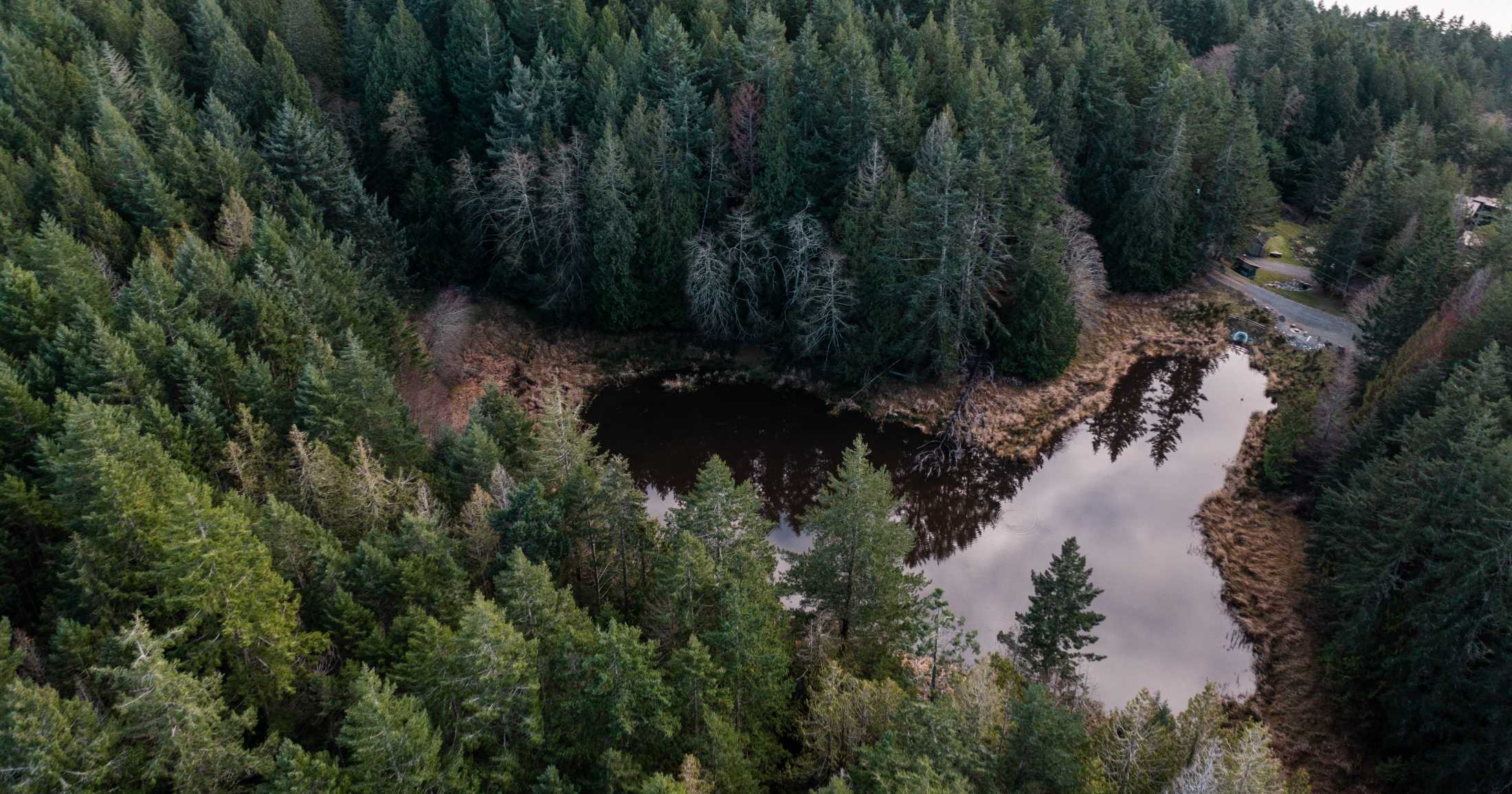 View of a small area of water surrounded by forest on North Pender Island.
