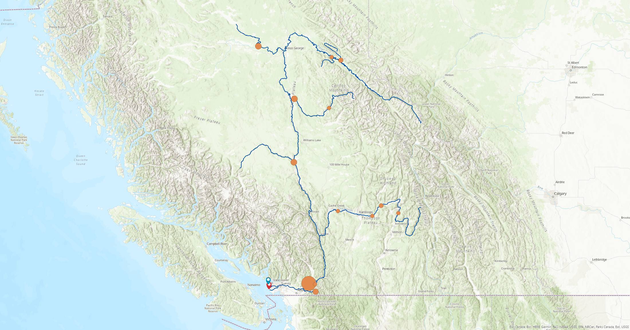 Map of BC displaying the Fraser River and tributaries as blue lines, the number of salmon that came from each river as orange circles, and the locations of jetty breaches as blue and red pins.