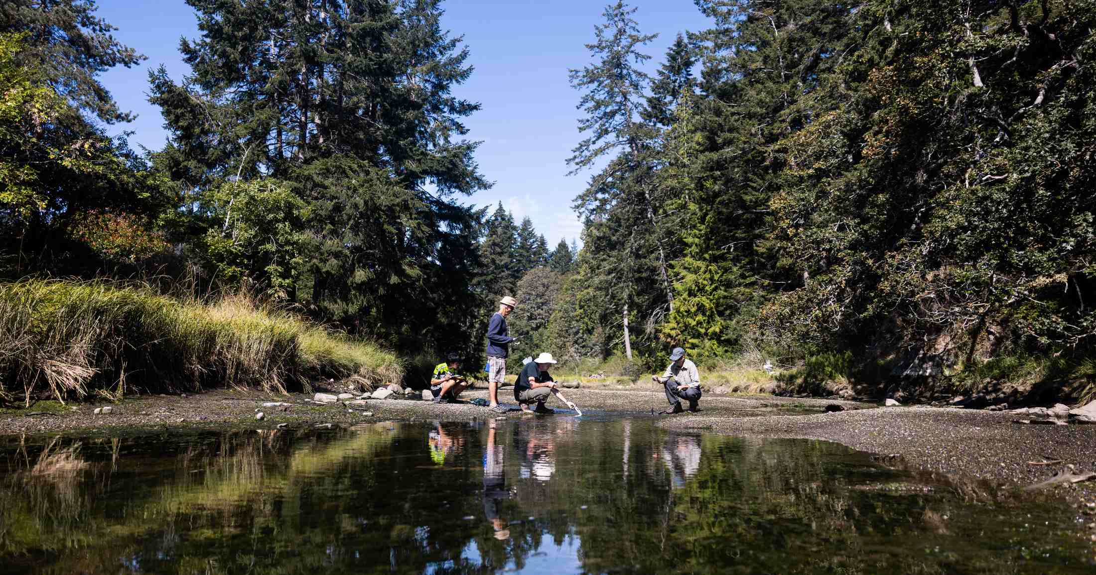 Four people working to collect a water sample along a river.