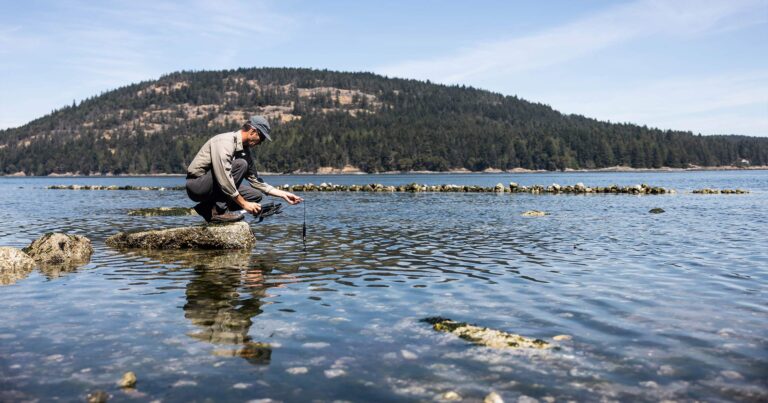 Dr. Peter Ross sampling ocean water.