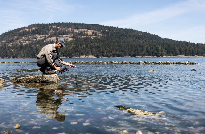Dr. Peter Ross sampling ocean water.
