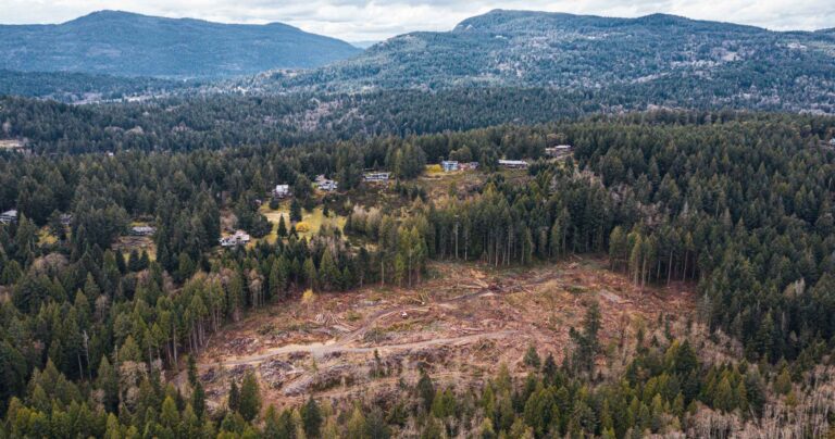 The story of Coastal Douglas-fir forests: Protect and connect