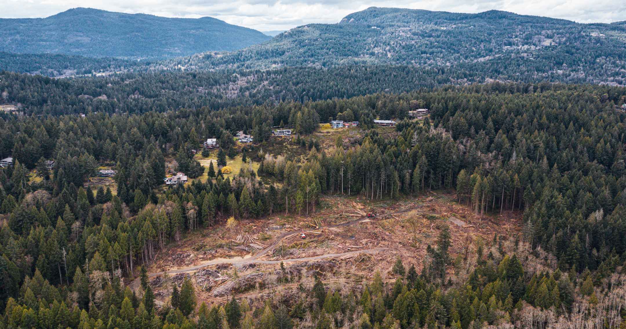 An aerial view of a clearcut area with mountains in the background.