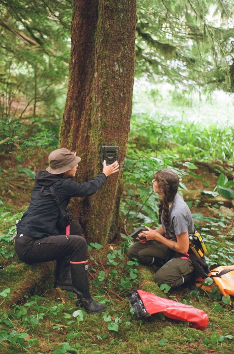 Two scientists checking a trail camera.
