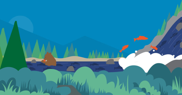 Illustration of a bear in a river eating a salmon while other salmon jump up a small waterfall!