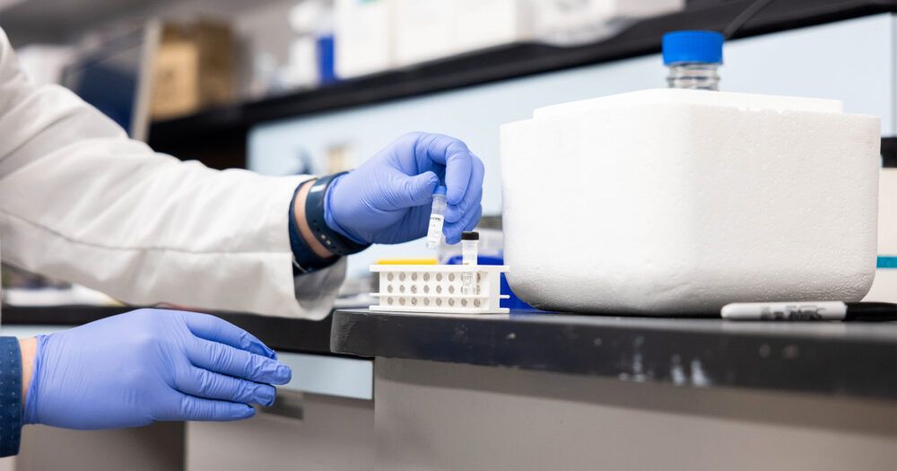 Hands with blue lab gloves holding viles of genetic samples.