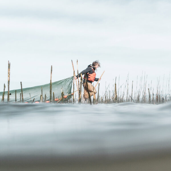 Misty MacDuffee pulls a net in the Fraser River estuary.