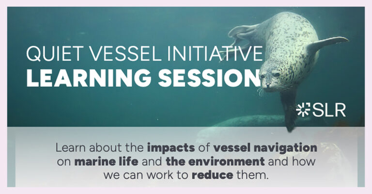 Quiet Vessel Initiative Learning Sessions: Learn about the impacts of vessel navigation on marine life and the environment and how we can work to reduce them.