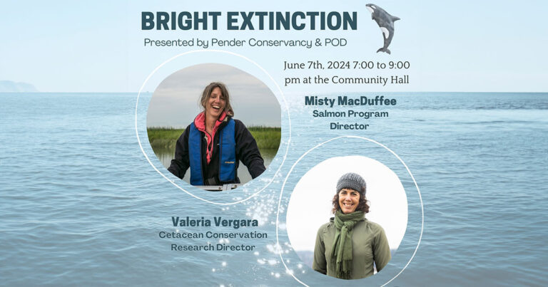Misty MacDuffee and Valeria Vergara present Bright Extinction, June 7th.