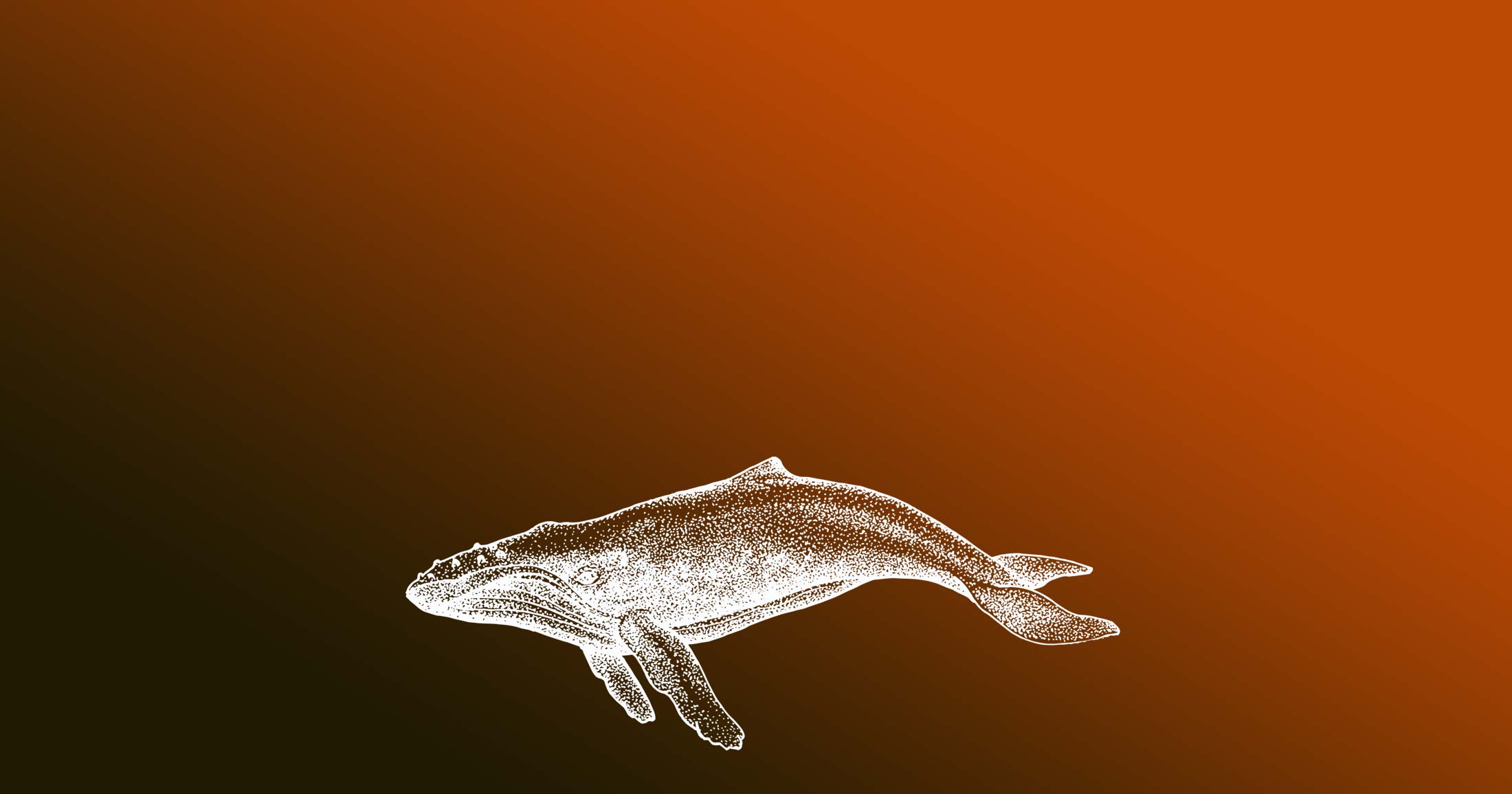 Humpback whale illustration, white on an orange background.