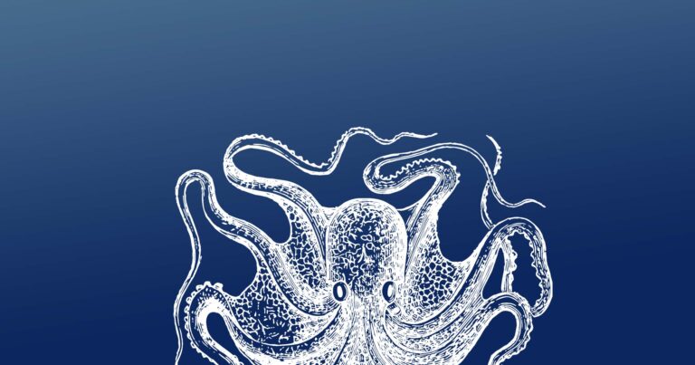 World Ocean’s Day