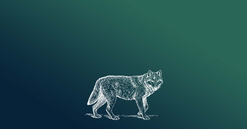 Illustration of a shaggy wolf standing in profile, white on green.