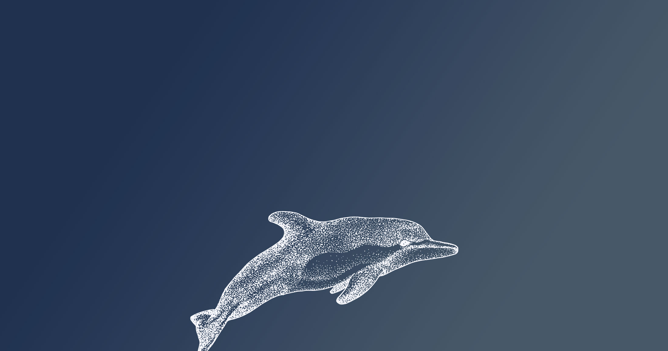 White illustration of a dolphin underwater.
