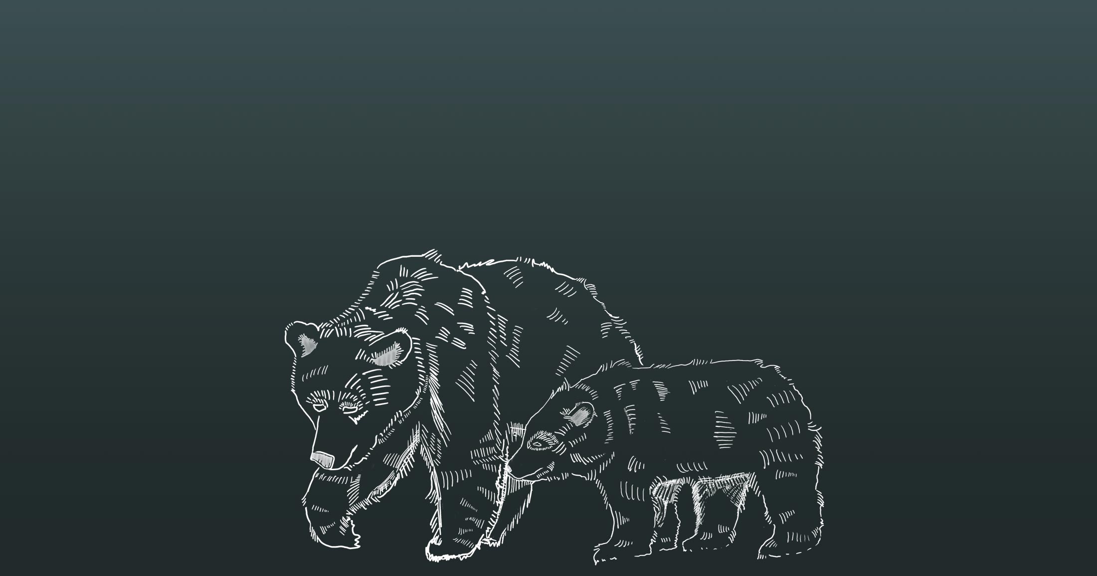 Illustration of mother and cub grizzly bears, small.