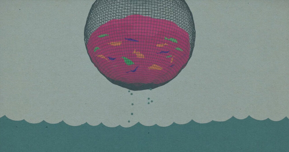 A large net filled with lots of different colours of salmon.