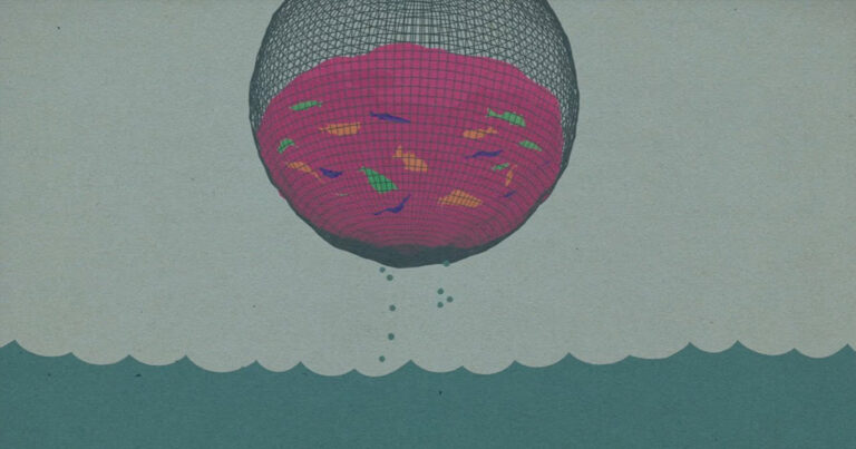 A large net filled with lots of different colours of salmon.