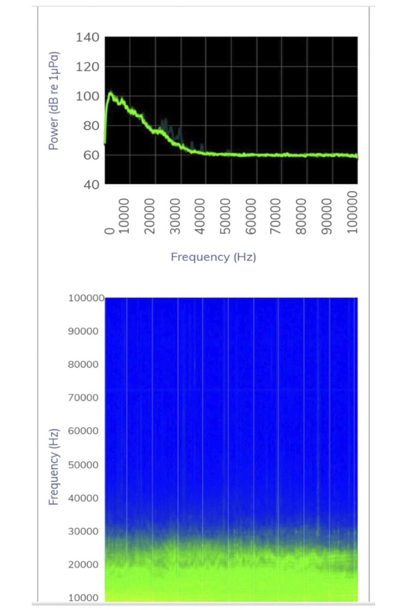 Spectrum and spectrogram.